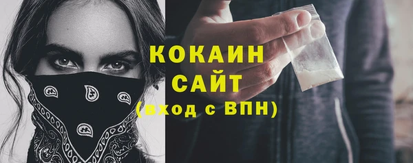 дмт Абаза