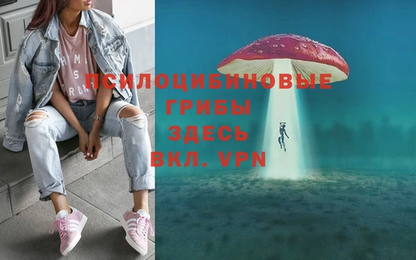 мескалин Абинск