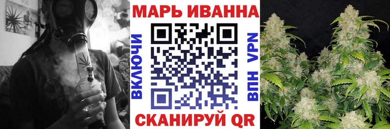 Бошки Шишки планчик  Хилок 